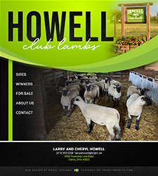 Howell Club Lambs