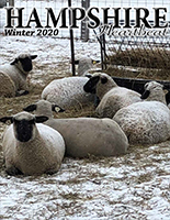 2020 Winter Hampshire Heartbeat