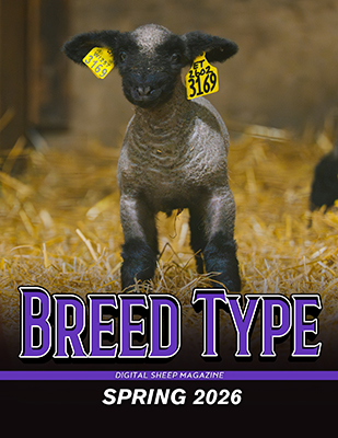 Breed Type Digital Magazine